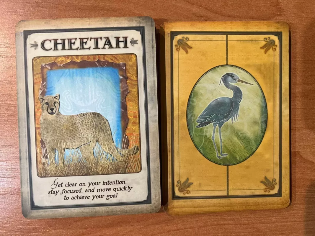 Messages from Your Animal Spirit Guides Oracle Cards - Steven D. Katz, knyga 4