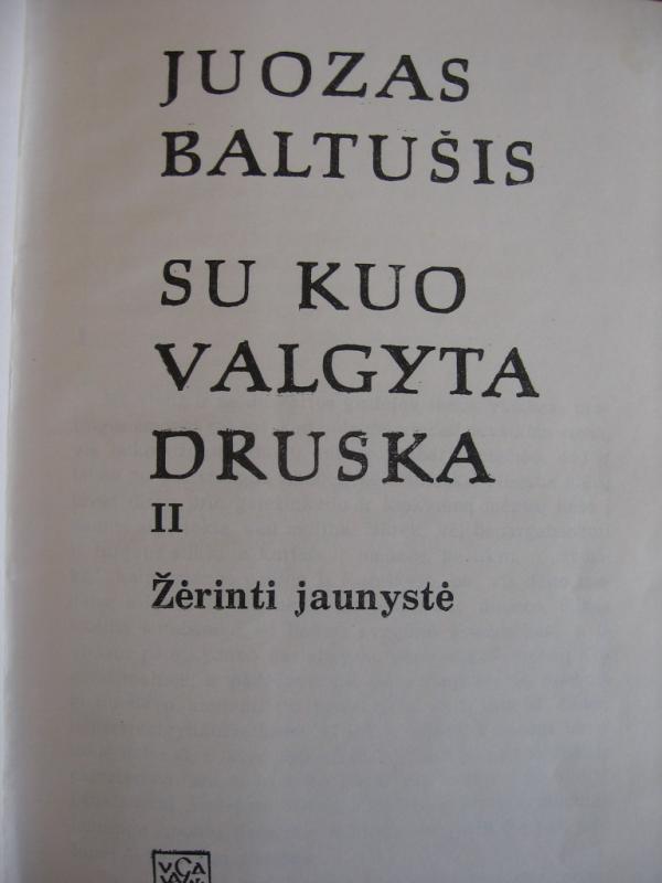 Su kuo valgyta druska. Žėrinti jaunystė - Juozas Baltušis, knyga 5