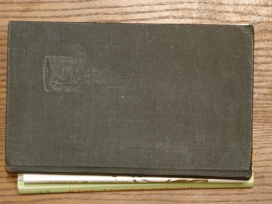 Hiavatos giesmė - Autorių Kolektyvas, knyga 2