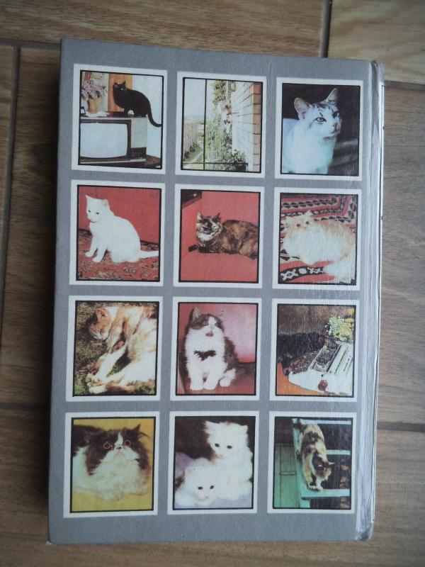 Mūsų katės - K. Masilionis, J.  Šventoraitytė, knyga 3