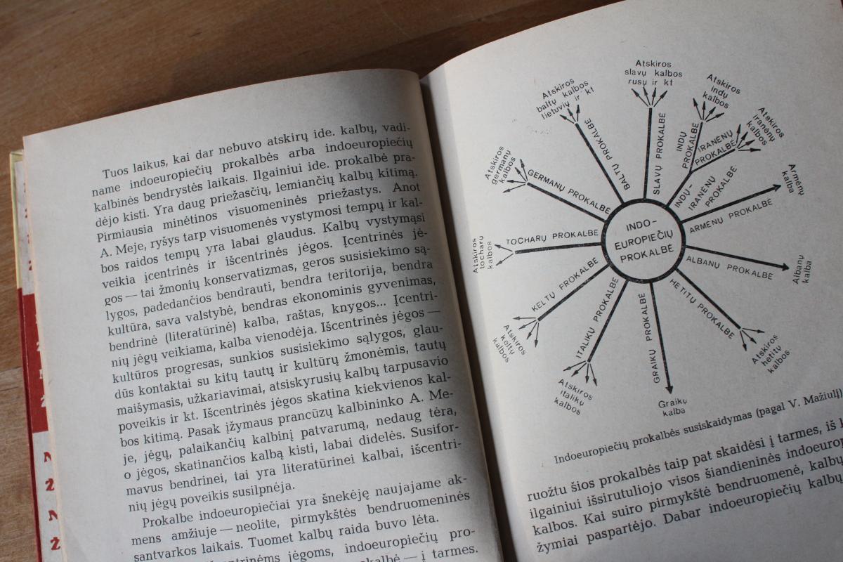 Indoeuropiečiai - Stanislovas Tarvydas, knyga 5
