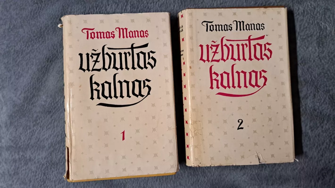 Užburtas kalnas (2 tomai) - Tomas Manas, knyga 2