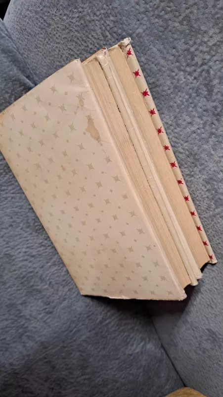 Užburtas kalnas (2 tomai) - Tomas Manas, knyga 3