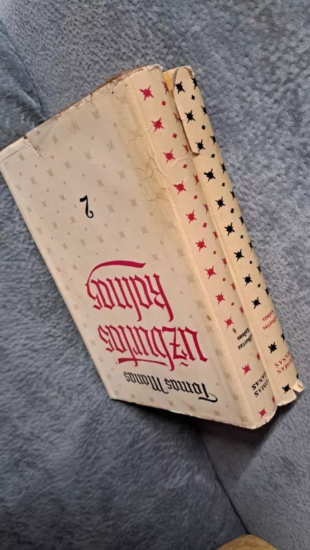 Užburtas kalnas (2 tomai) - Tomas Manas, knyga 4