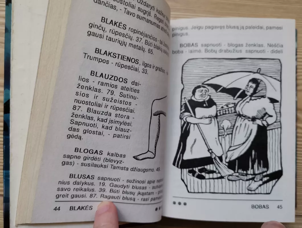 Senasis lietuvių sapnininkas - R. Magilienė, knyga 3