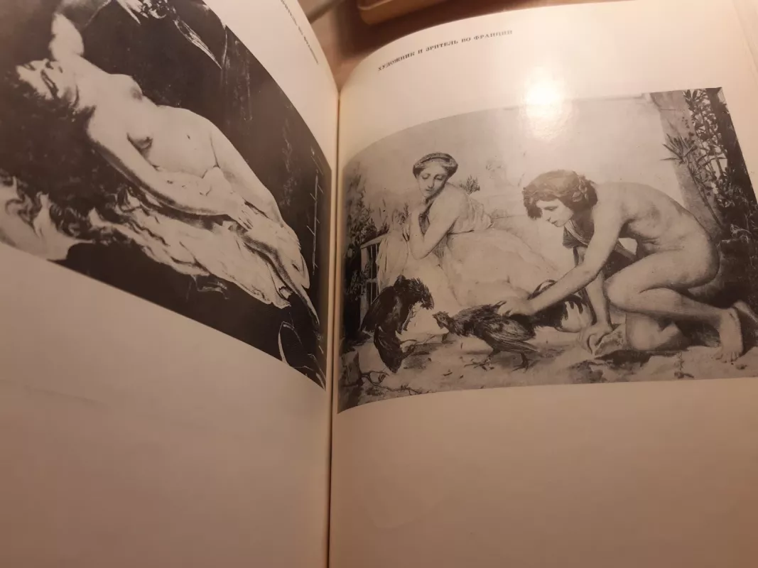 IZ istori Sovetskovo iskusstvoznanije  ( o France iskusstveXIX-XX) - Autorių Kolektyvas, knyga 5