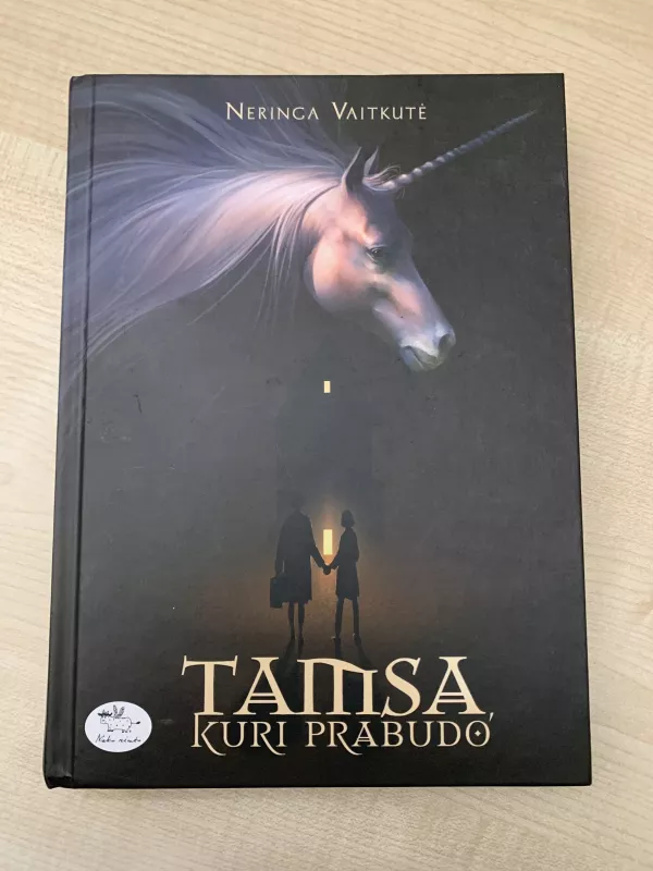 Tamsa, kuri prabudo - Neringa Vaitkutė, knyga 2