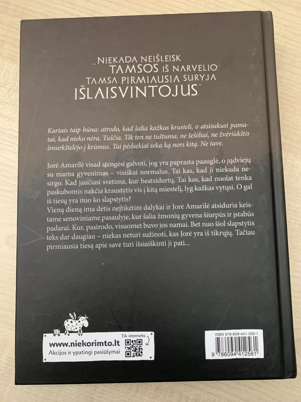 Tamsa, kuri prabudo - Neringa Vaitkutė, knyga 3