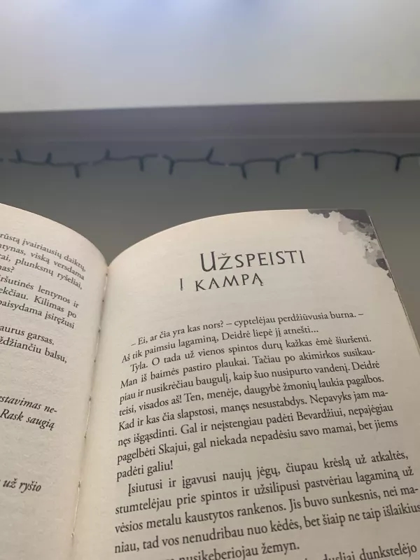 Tamsa, kuri prabudo - Neringa Vaitkutė, knyga 4