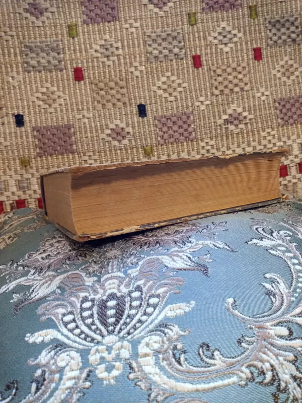 Stebuklingosios Nilso kelionės - Selma Lagerlöf, knyga 5