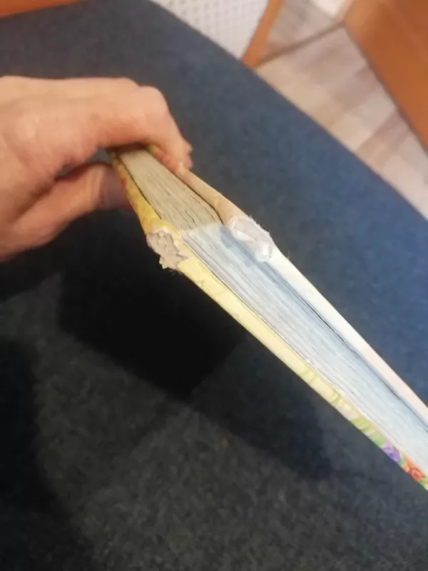 Alisa ir jos draugai žvėreliai - Bettina Weber, knyga 2