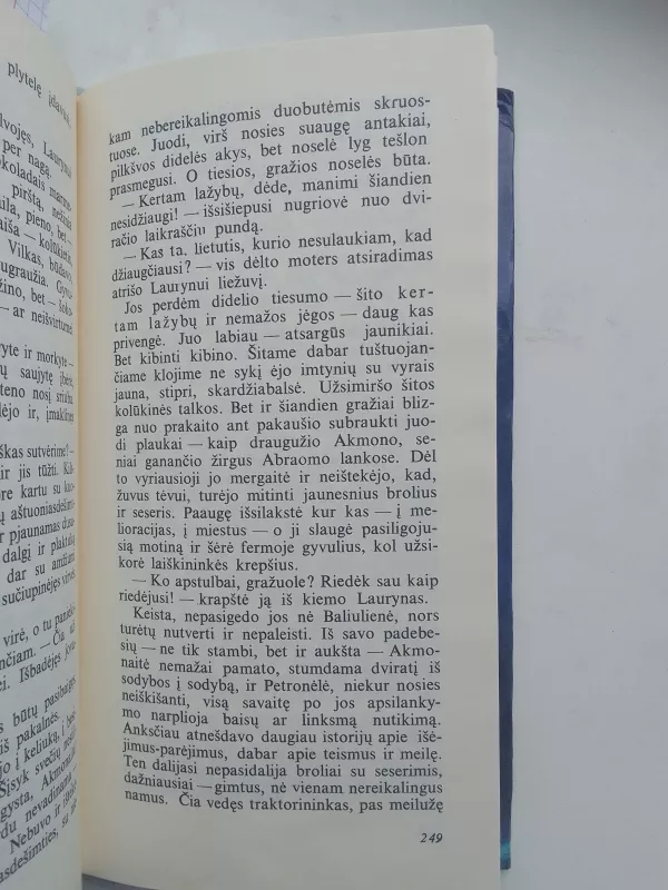 Medžliepis - Mykolas Sluckis, knyga 3