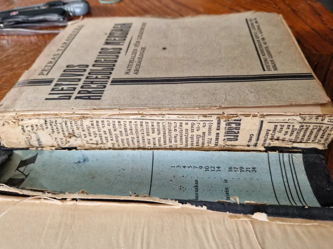 Lietuvos archeologijos medžiaga - Petras Tarasenka, knyga 4