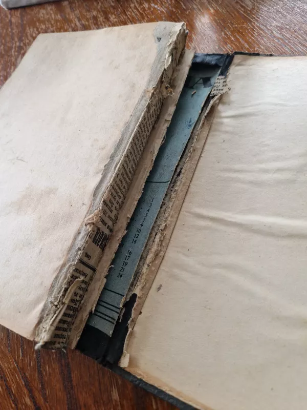 Lietuvos archeologijos medžiaga - Petras Tarasenka, knyga 6