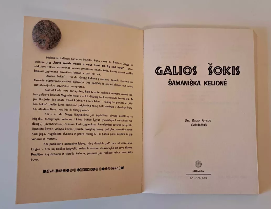 Galios šokis: Šamaniška kelionė - Susan Gregg, knyga 3