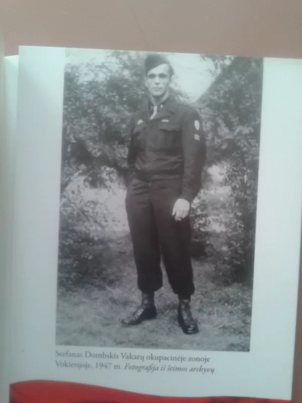 Egzekutorius,Armijos krajovos žudiko išpažintis - Stefan Dąmbski, knyga 5