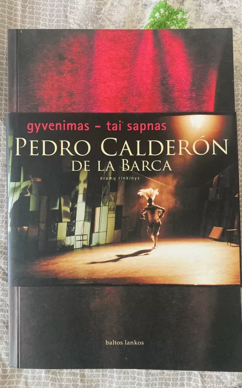 Gyvenimas - tai sapnas - Pedro Calderon de la Barca, knyga 2