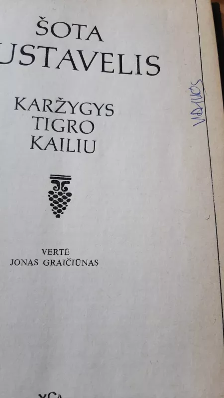 Karžygys tigro kailiu - Šota Rustavelis, knyga 3