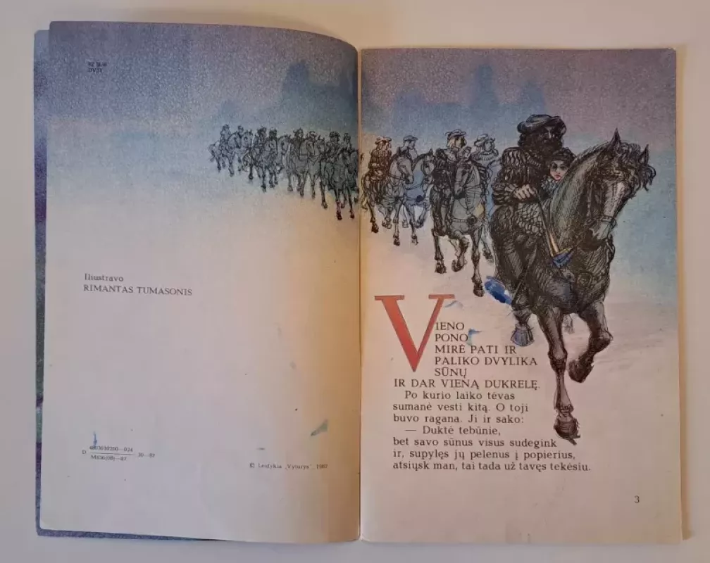 Dvylika brolių juodvarniais lakstančių - Autorių Kolektyvas, knyga 4