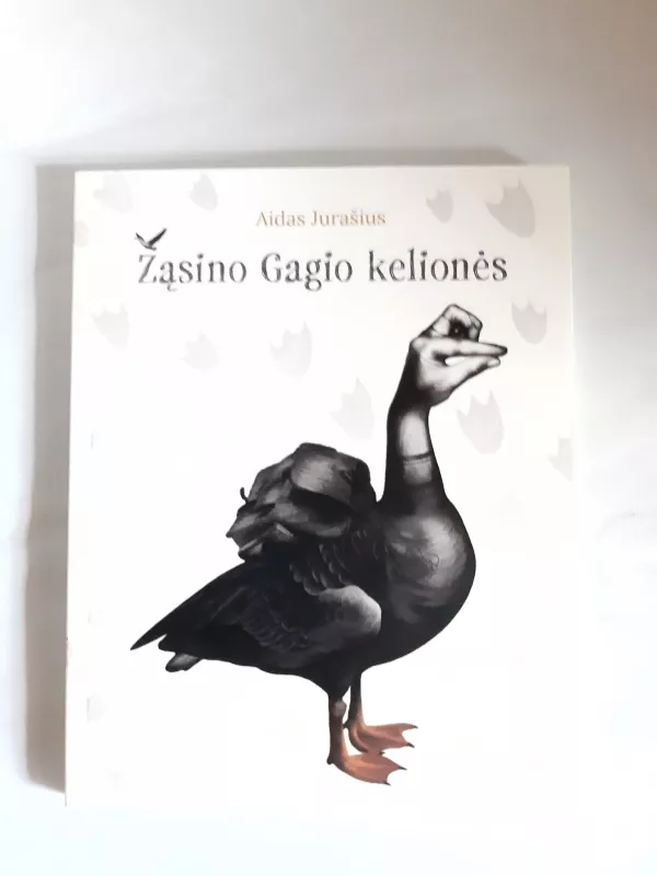 Žąsino Gagio kelionės - Aidas Jurašius, knyga 2