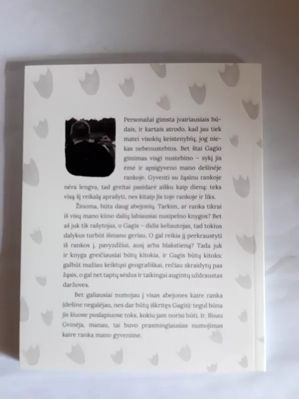 Žąsino Gagio kelionės - Aidas Jurašius, knyga 3