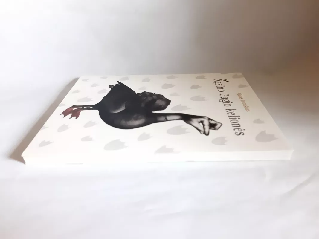 Žąsino Gagio kelionės - Aidas Jurašius, knyga 4