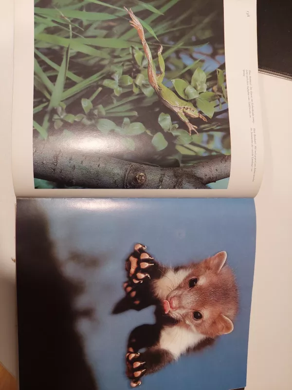 Tierfotografie - Harald Lange, knyga 4