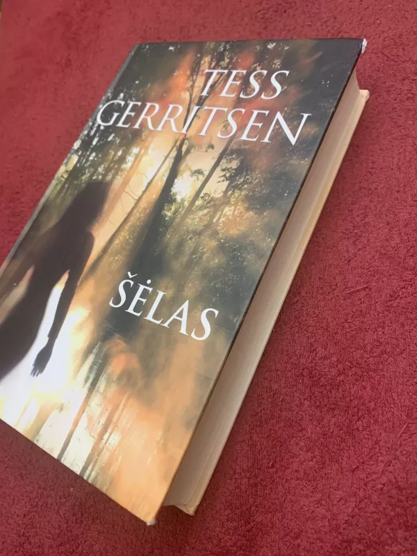 Šėlas - Tess Gerritsen, knyga 3