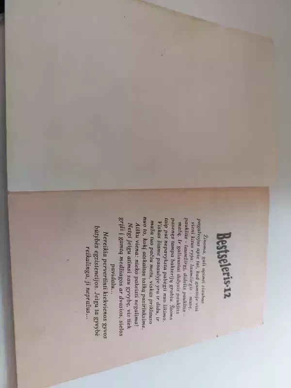 Užstalės kalbos - Adolfas Hitleris, knyga 4