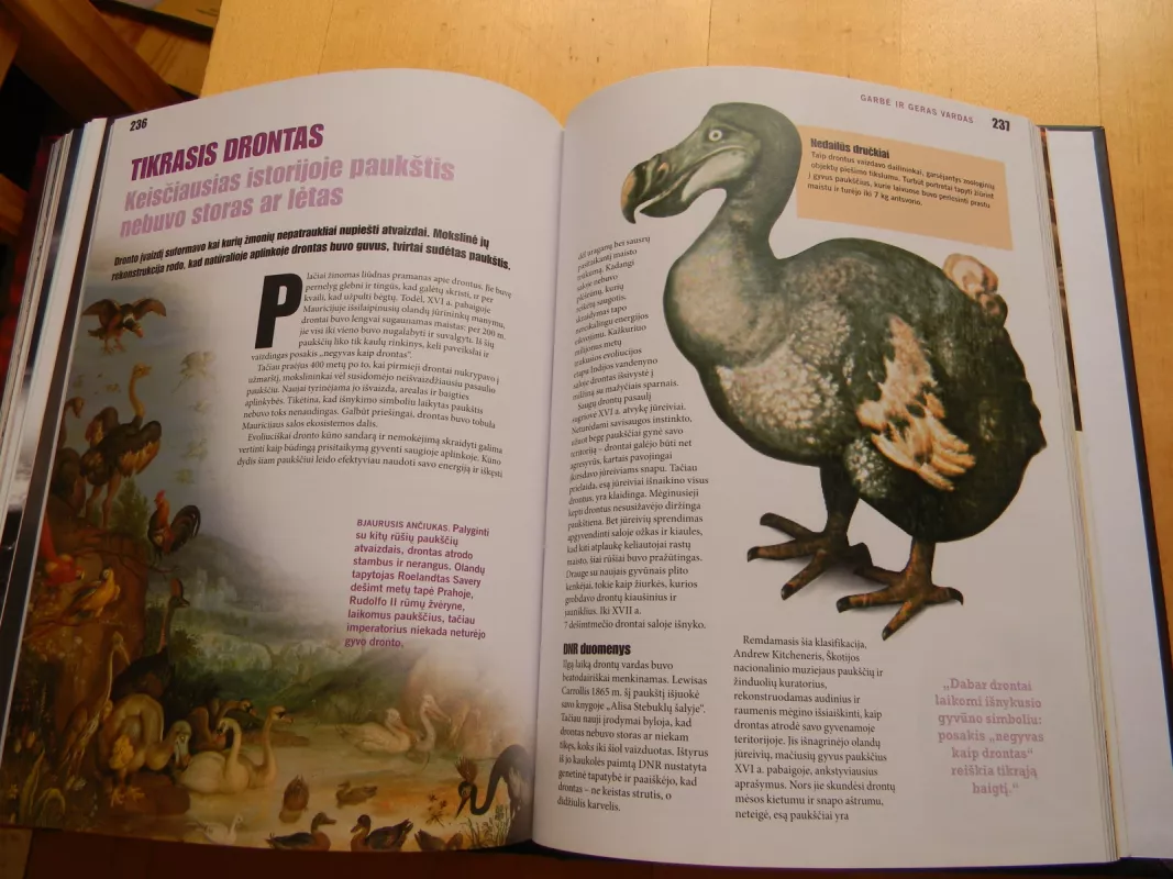 Tiesa apie istoriją - Autorių Kolektyvas, knyga 5