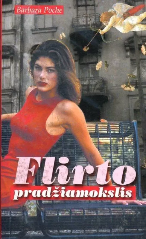 Flirto pradžiamokslis - Barbara Poche, knyga