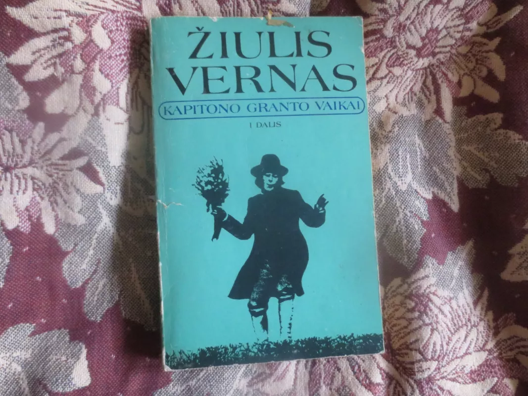Kapitono Granto vaikai. I d. - Žiulis Vernas, knyga 3