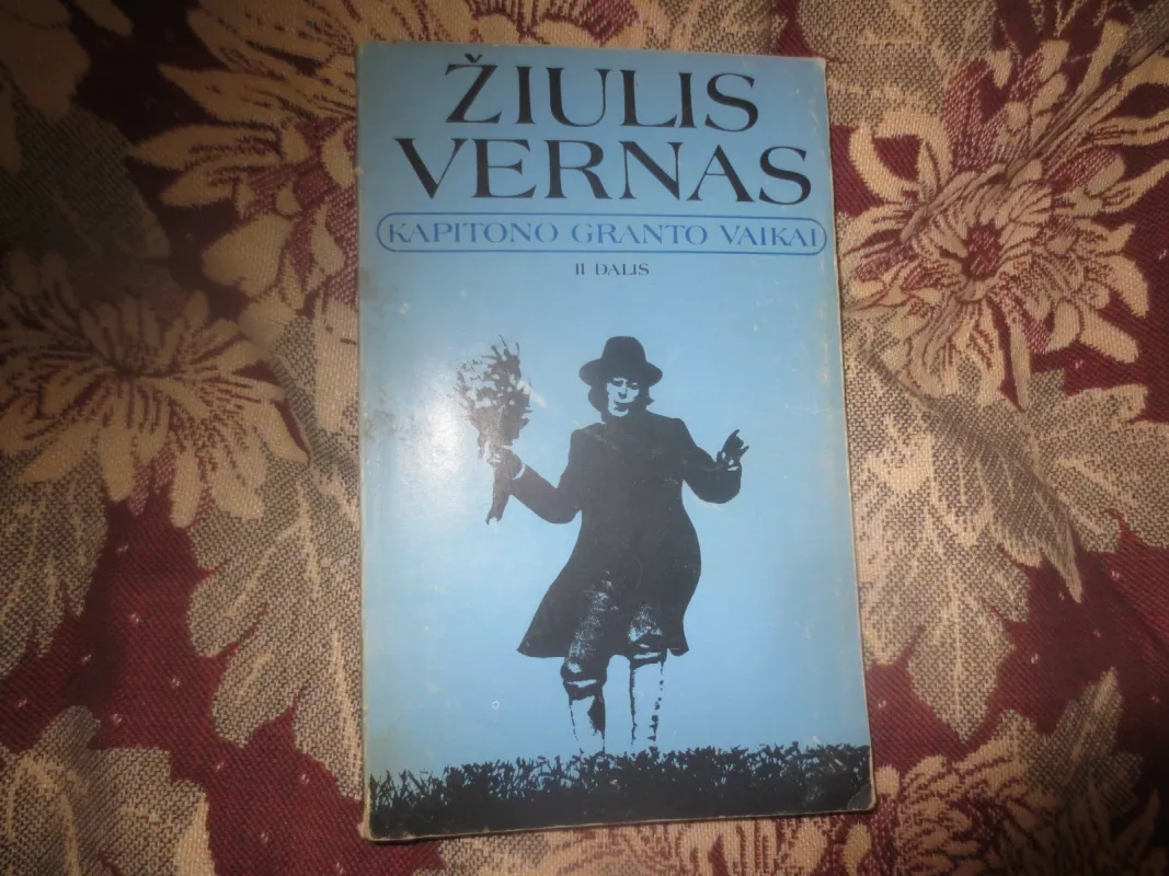 Kapitono Granto vaikai. I d. - Žiulis Vernas, knyga 2