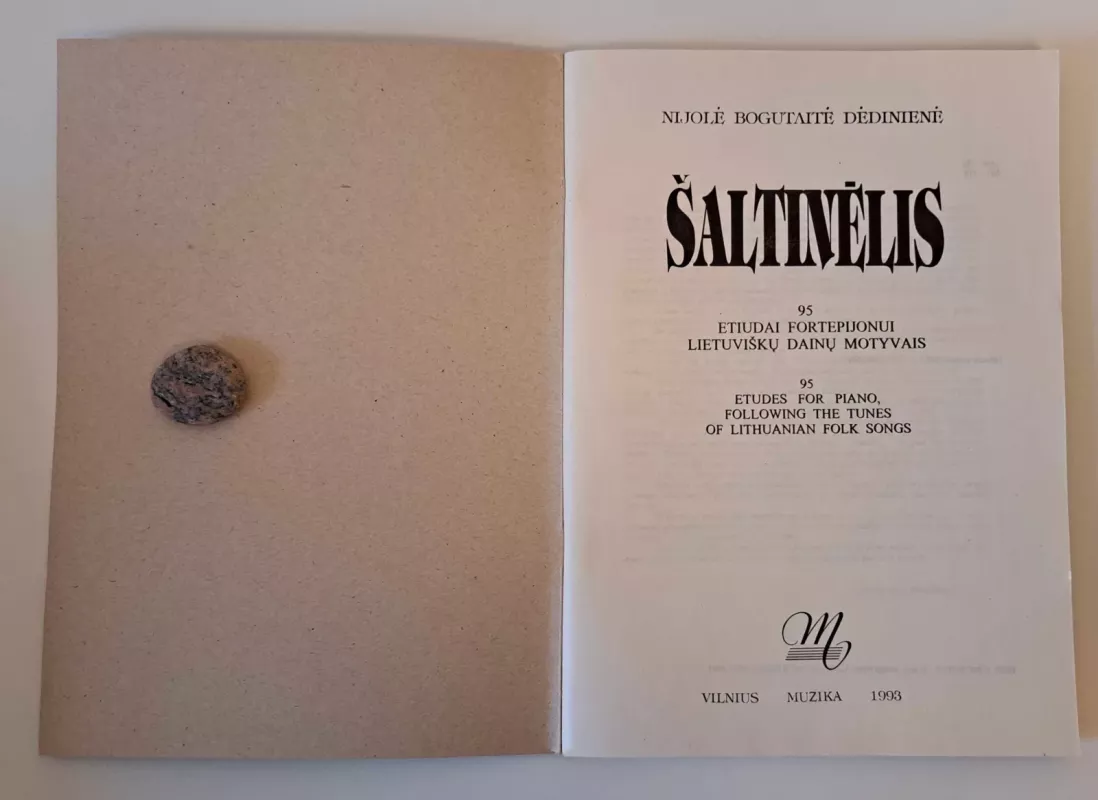 Šaltinėlis - Nijolė Bogutaitė-Dėdinienė, knyga 3