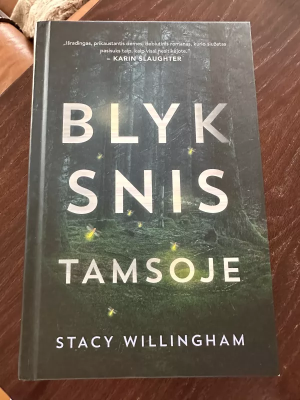 Blyksnis tamsoje - Stacy Willingham, knyga 2