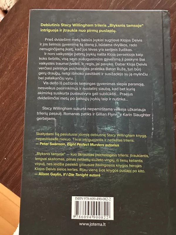 Blyksnis tamsoje - Stacy Willingham, knyga 3