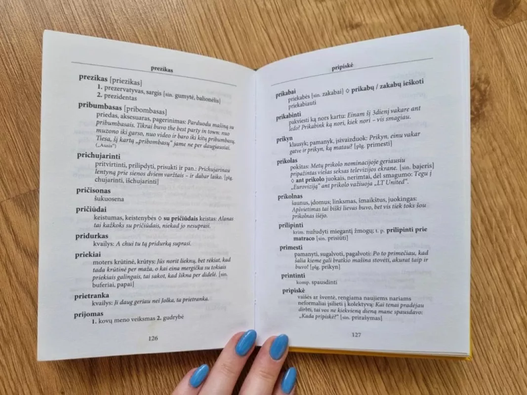 Lietuvių žargono žodynėlis: kalbos paribiai ir užribiai - Egidijus Zaikauskas, knyga 4