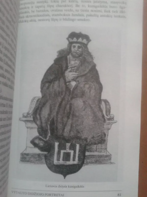Vytautas Didysis ir Lietuva - Autorių Kolektyvas, knyga 5