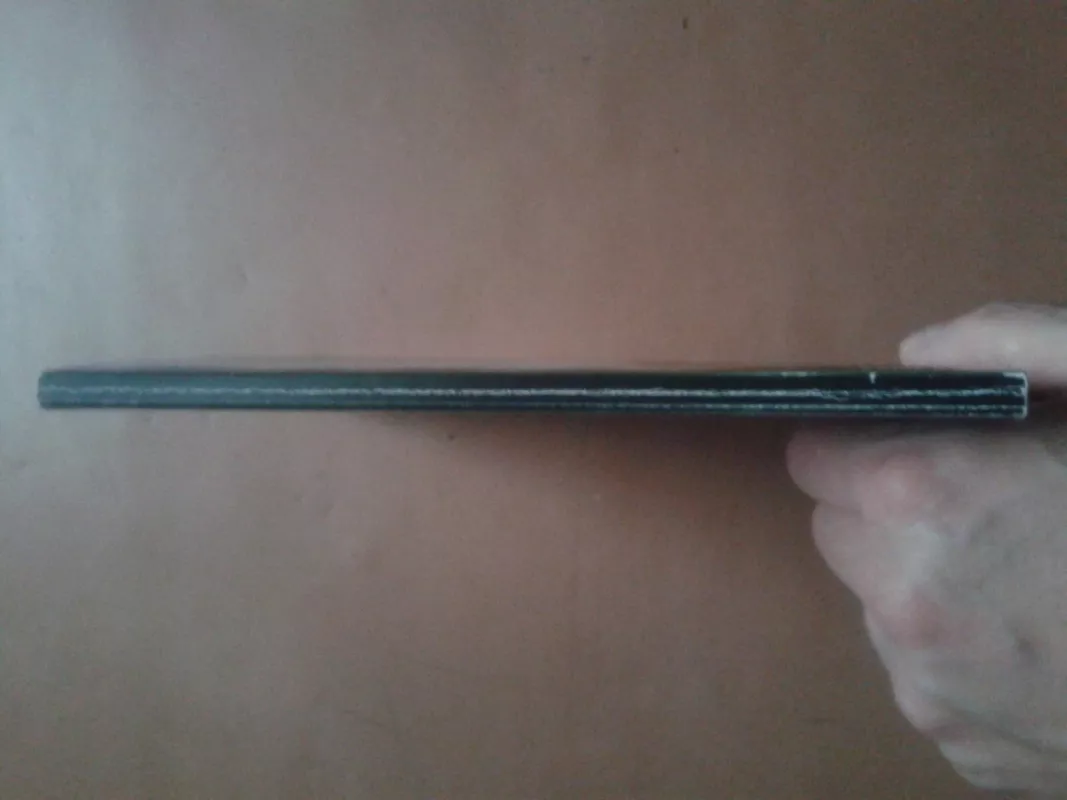 Vytautas Didysis ir Lietuva - Autorių Kolektyvas, knyga 3