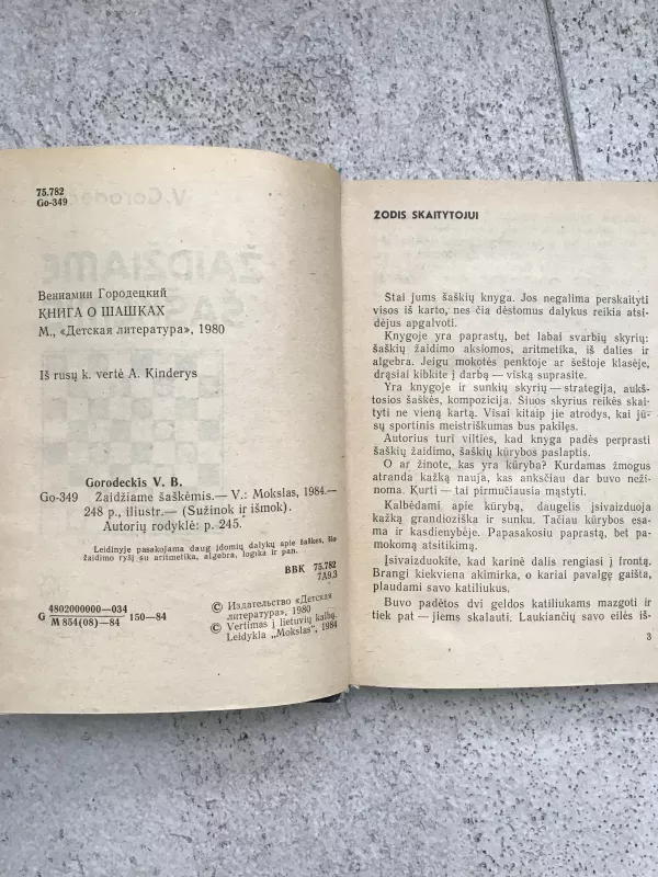 Žaidžiame šaškėmis - V. Gorodeckis, knyga 3