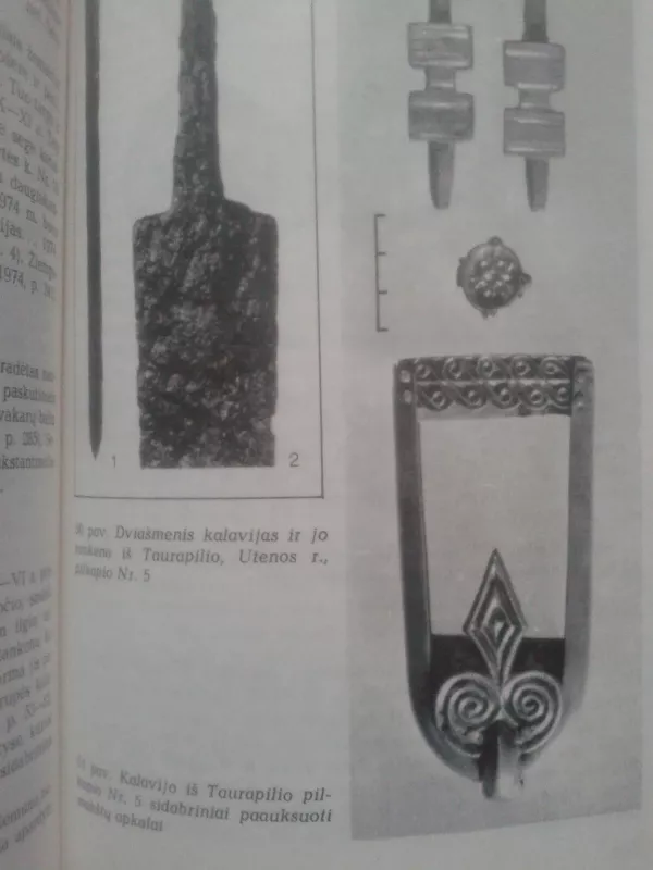 Vidurinis geležies amžius Lietuvoje (V-IX a.) - A. Tautavičius, knyga 5