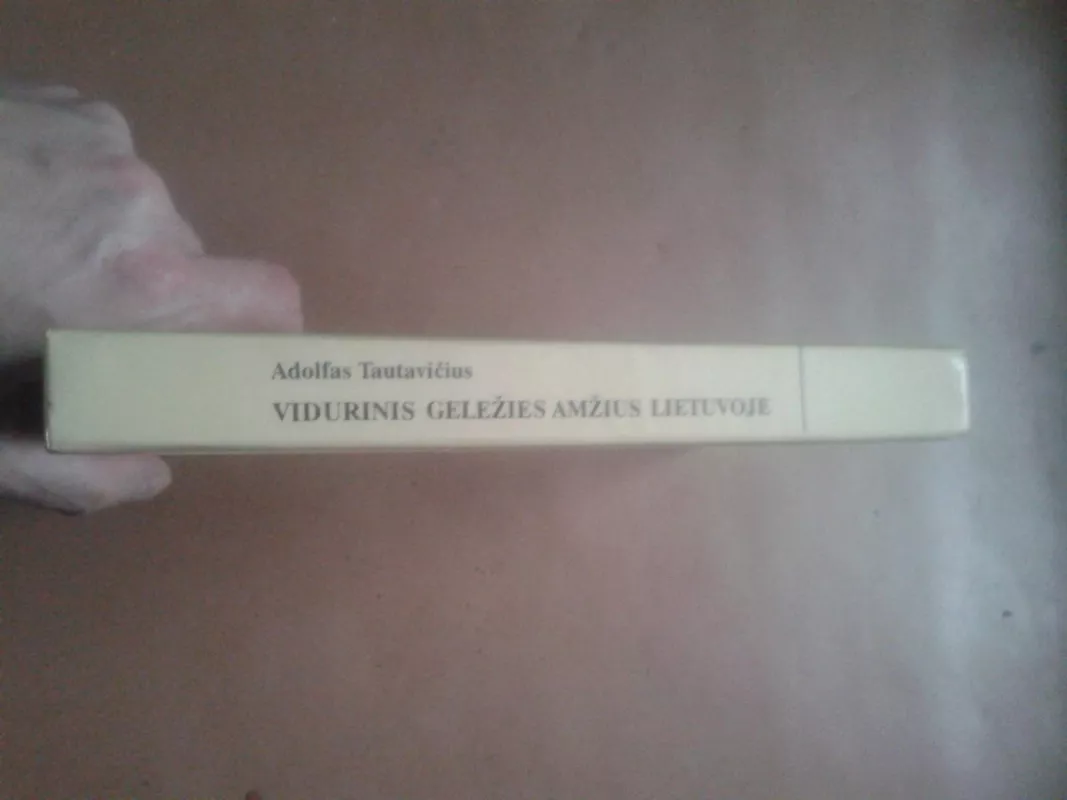 Vidurinis geležies amžius Lietuvoje (V-IX a.) - A. Tautavičius, knyga 3