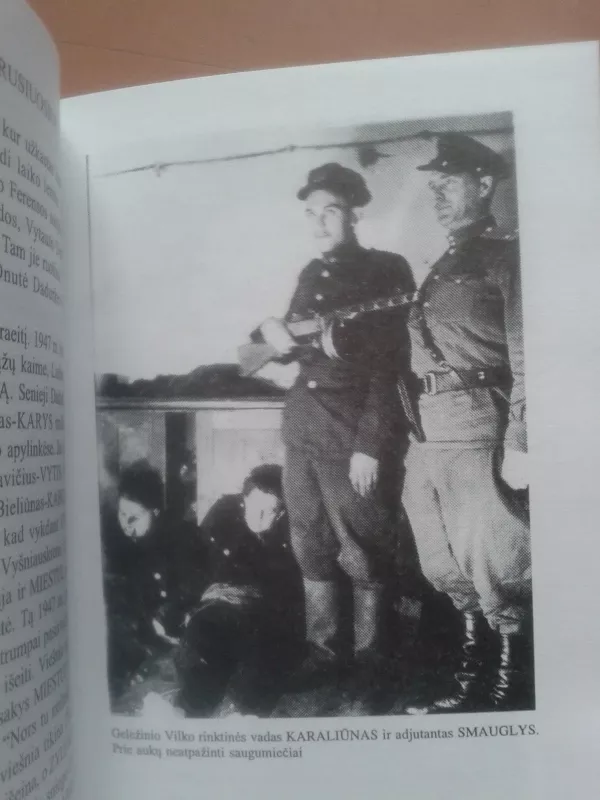 Viltim kylančios žolės - Albinas Slavickas, knyga 5