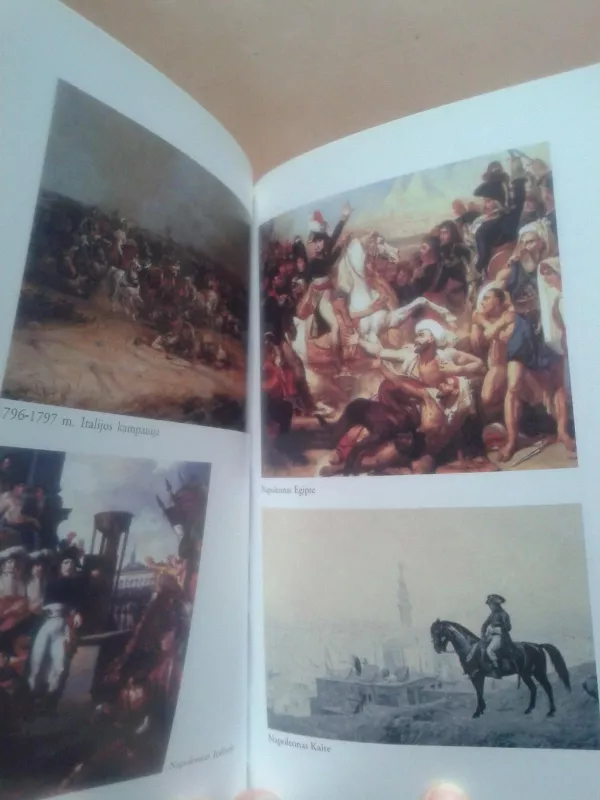 Napoleono Bonaparto triumfas ir tragedija 1799-1804 - Autorių Kolektyvas, knyga 5