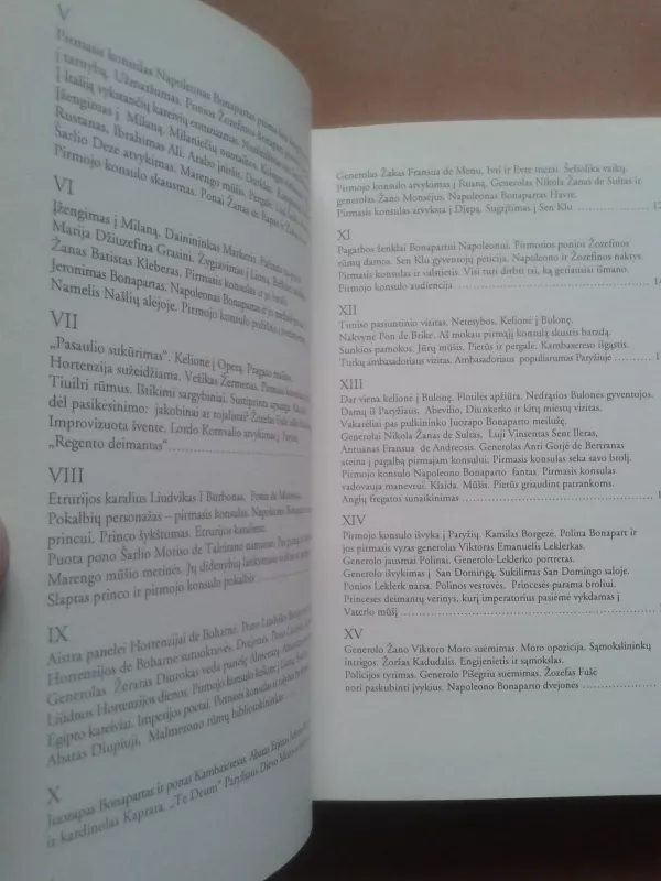 Napoleono Bonaparto triumfas ir tragedija 1799-1804 - Autorių Kolektyvas, knyga 4