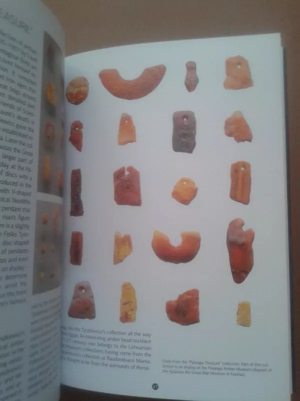 Baltic amber - Makauskienė Regina, knyga 5