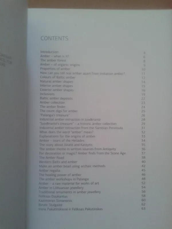 Baltic amber - Makauskienė Regina, knyga 4