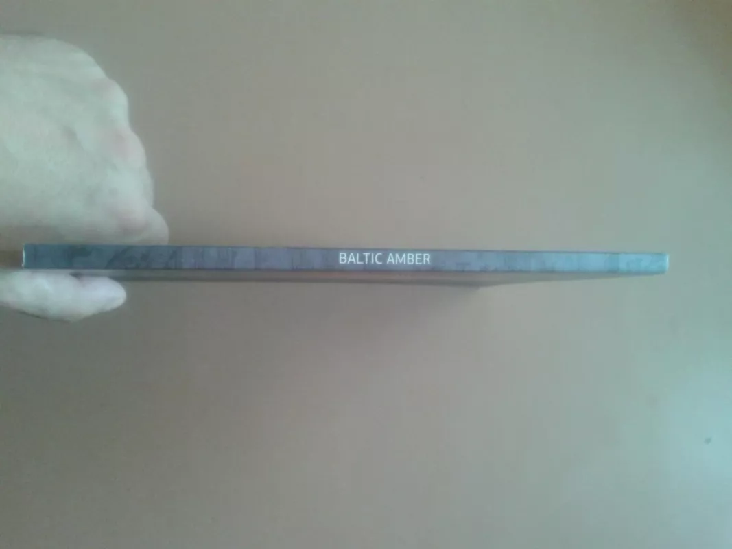 Baltic amber - Makauskienė Regina, knyga 3