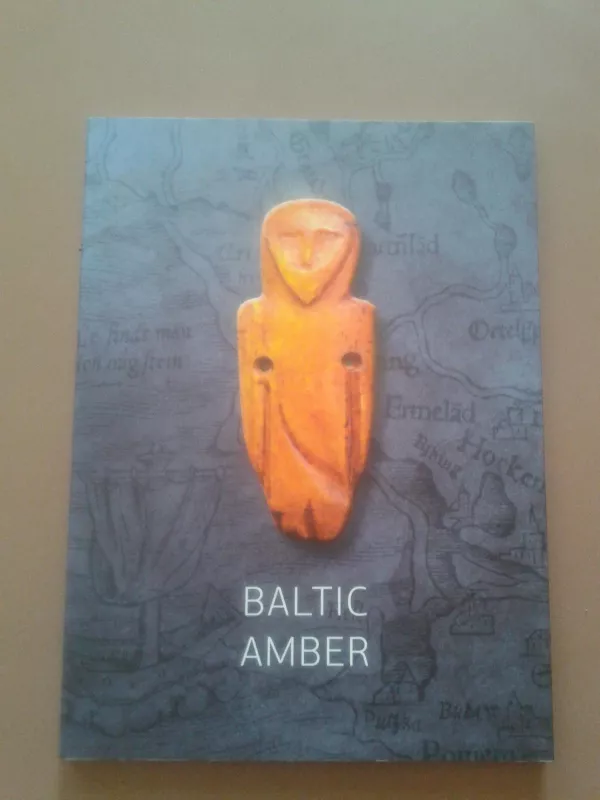 Baltic amber - Makauskienė Regina, knyga 2