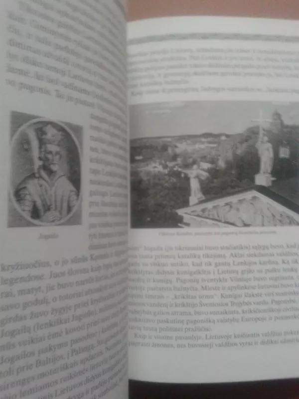 Lietuva. Bundanti tauta - Age Meyer Benedictsen, knyga 5